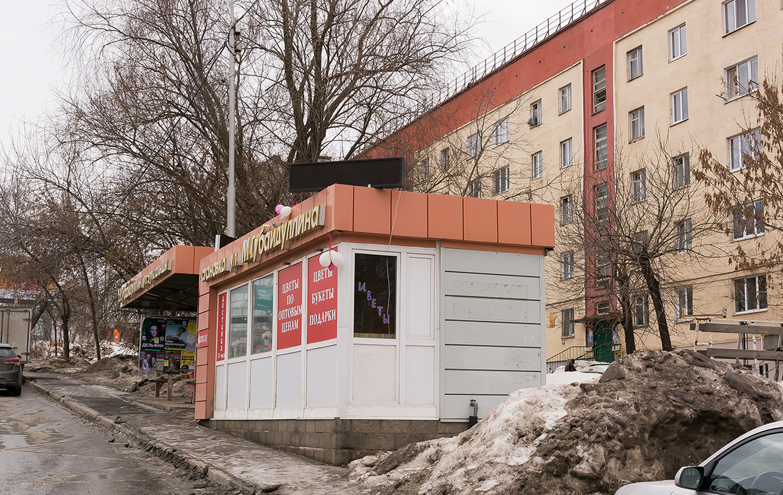 Уфа, Улица Минигали Губайдуллина, 3*