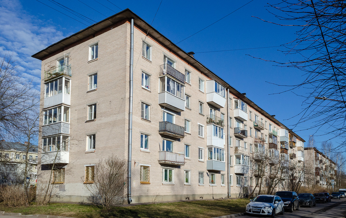 Петергоф, Улица Путешественника Козлова, 7