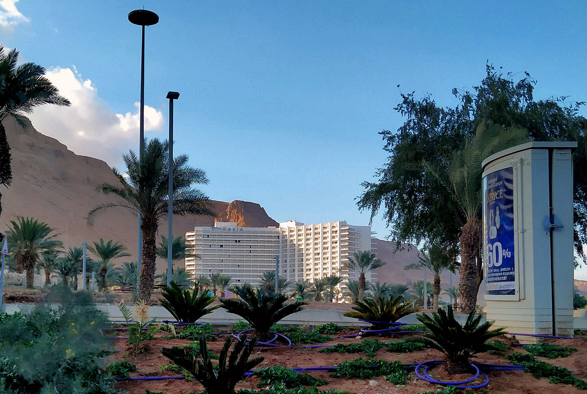 Эйн-Бокек, David Dead Sea Resort & Spa