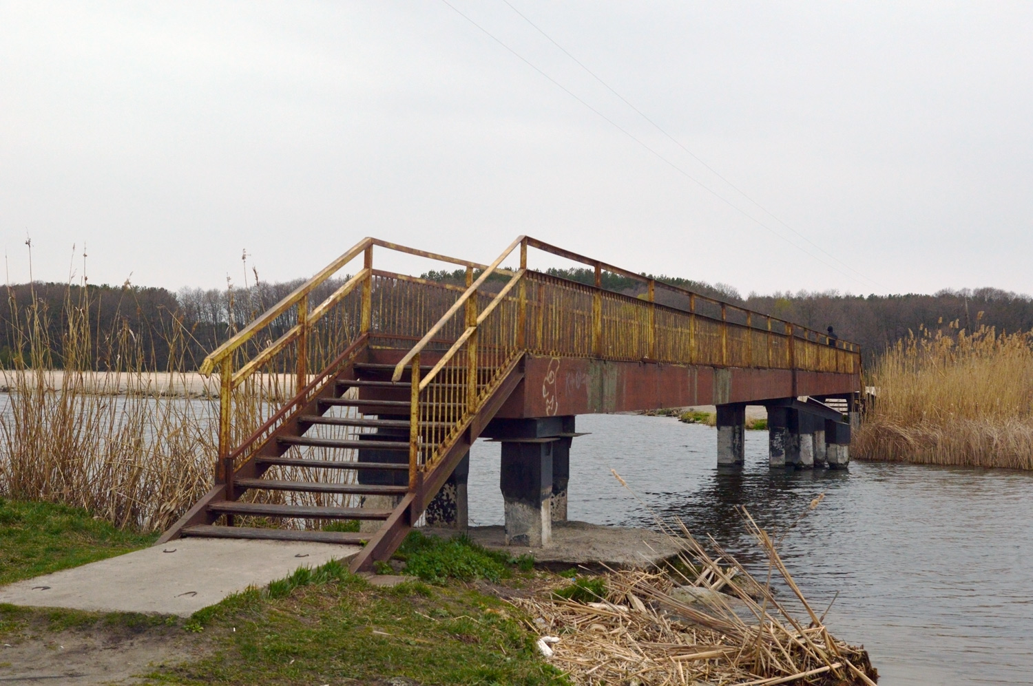 Воронеж, Кольцевая улица, Пешеходный мост