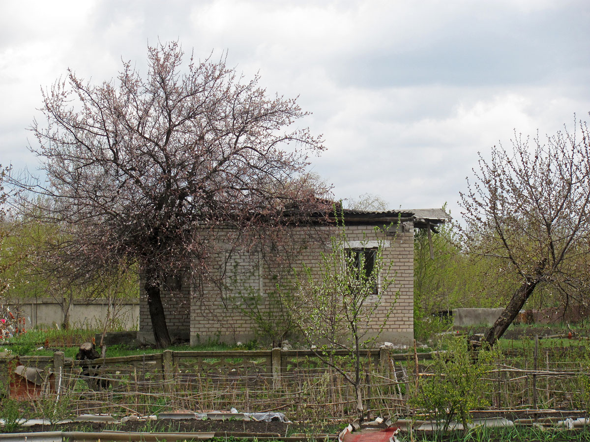 Попасная, Солнечная улица, 37