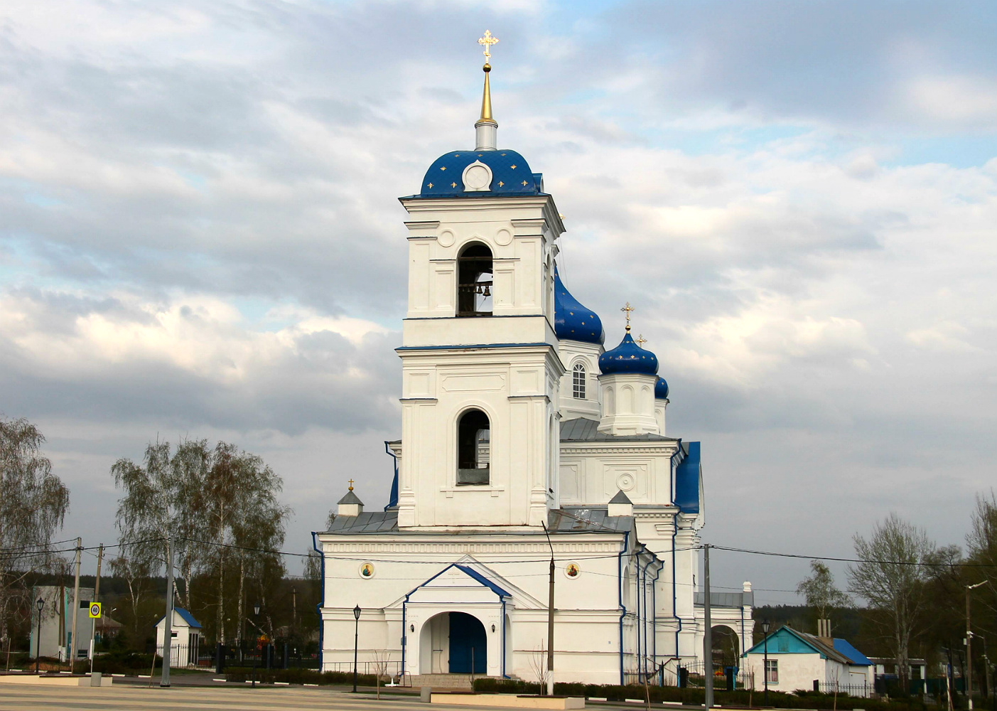Репьёвский район, прочие н.п., С. Репьёвка, Воронежская улица, 22А