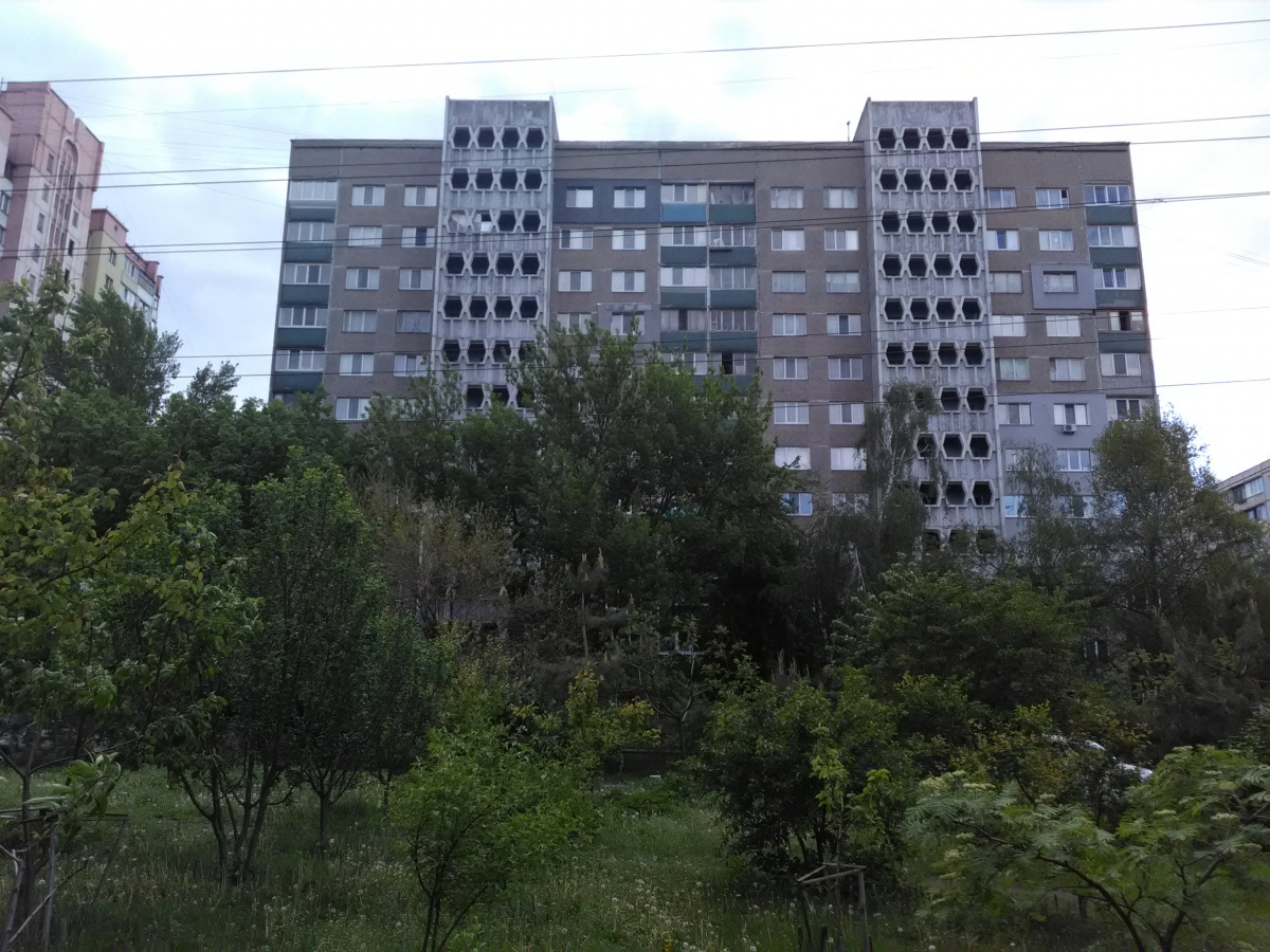 Киев, Дубровицкая улица, 10