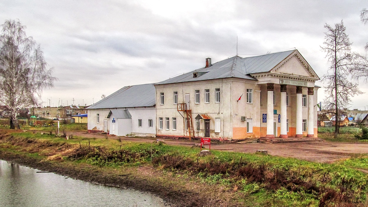 Благовещенский район, прочие н.п., село Ильино-Поляна, Советская улица, 9А