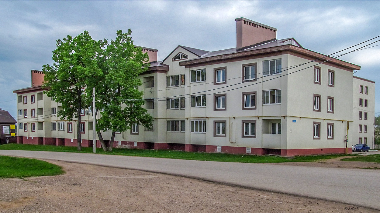 Нуримановский район, прочие н.п., село Павловка, улица Карла Маркса, 30/1