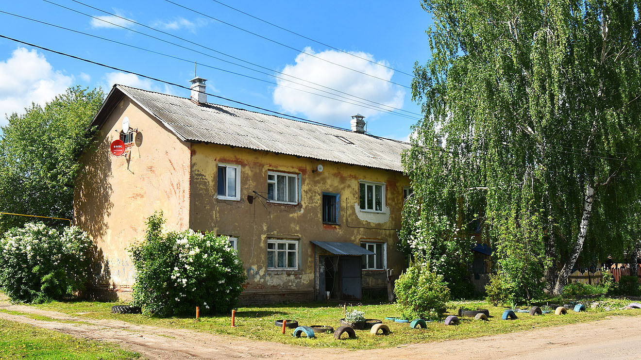 Пермский район, прочие н.п., с. Нижние Муллы, Трактовая улица, 5
