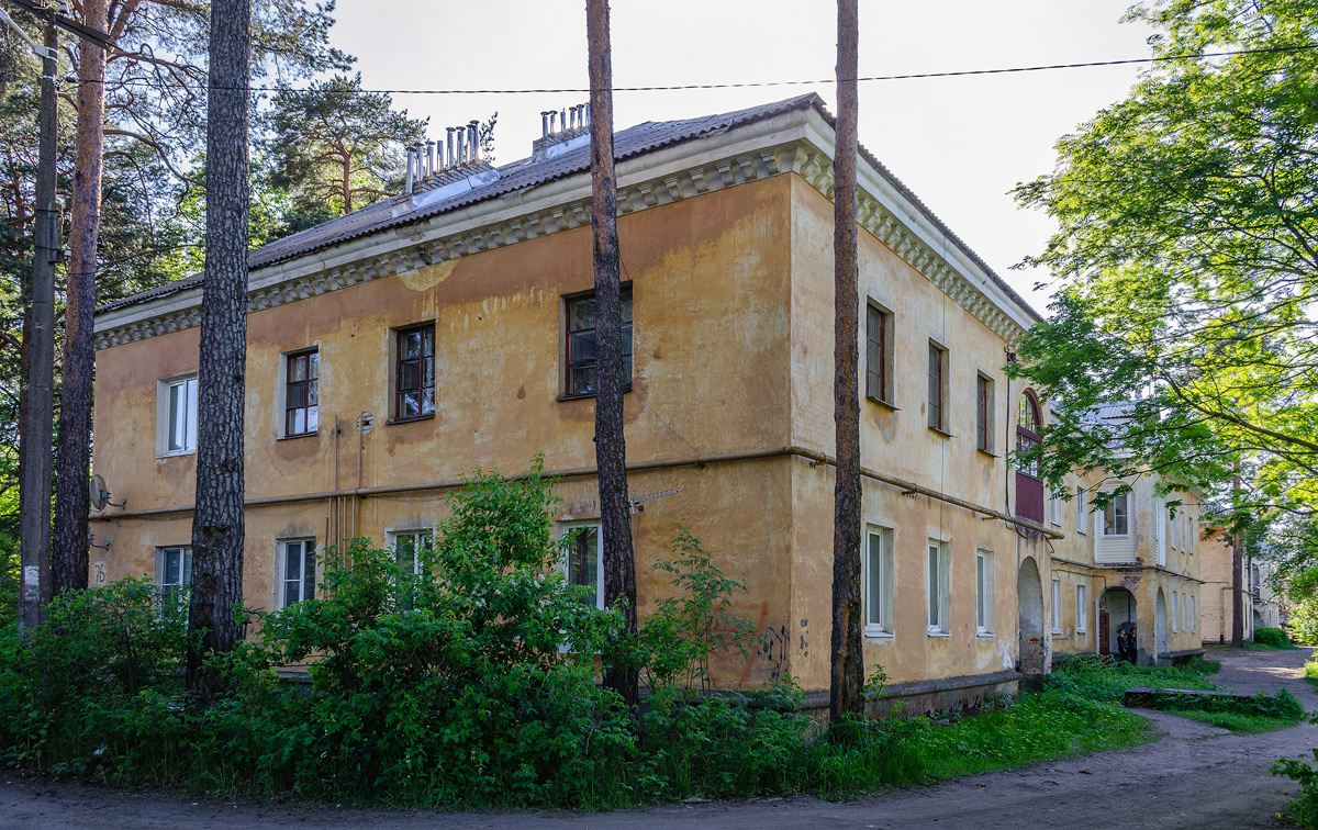Ломоносовский район, прочие н. п., Большая Ижора, Приморское шоссе, 76