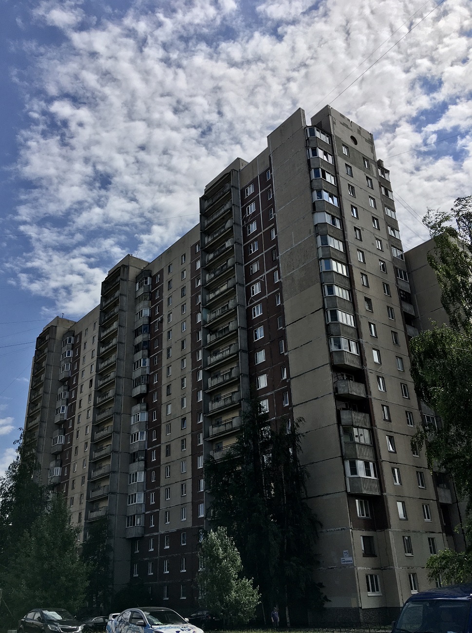 Санкт-Петербург, Улица Савушкина, 115 корп. 3