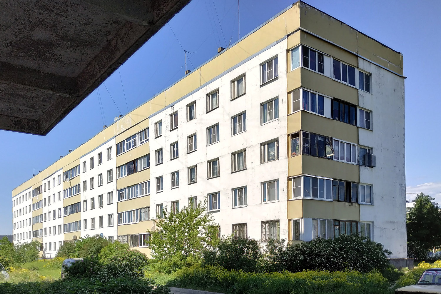 Ломоносовский район, прочие н. п., Русско-Высоцкое, 21