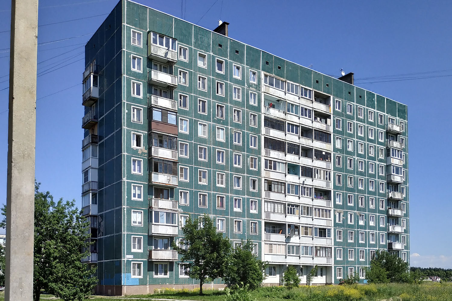 Ломоносовский район, прочие н. п., Русско-Высоцкое, 24