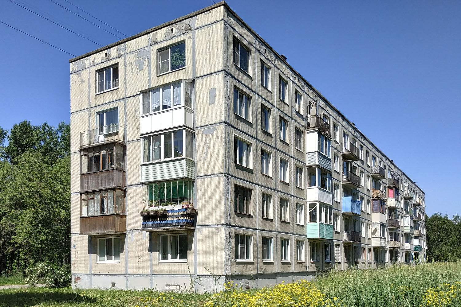Ломоносовский район, прочие н. п., Русско-Высоцкое, 6