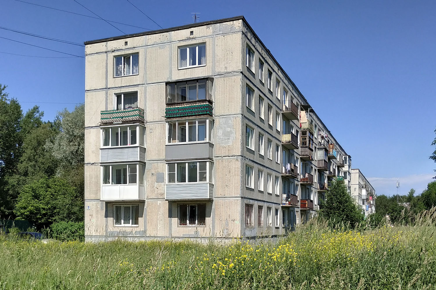 Ломоносовский район, прочие н. п., Русско-Высоцкое, 7