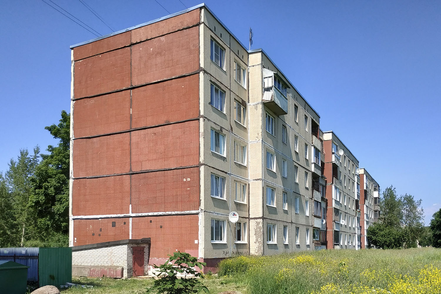 Ломоносовский район, прочие н. п., Русско-Высоцкое, 14