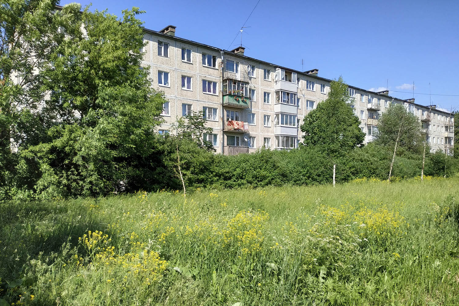 Волосовский район, прочие н. п., Сельцо, 7