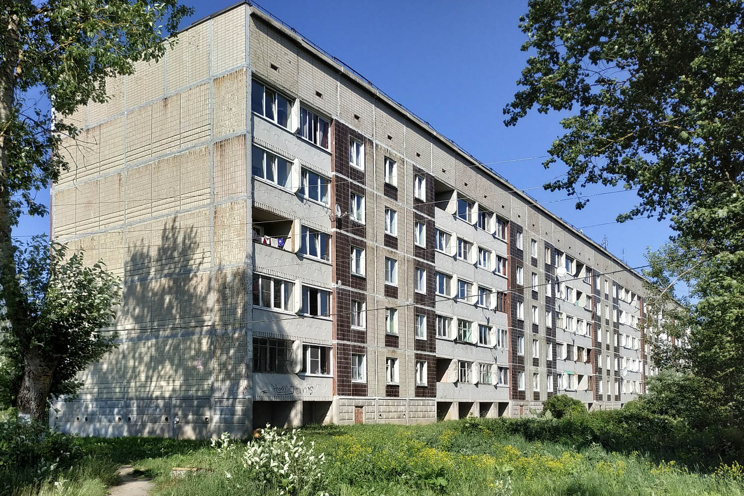 Волосовский район, прочие н. п., Сельцо, 23