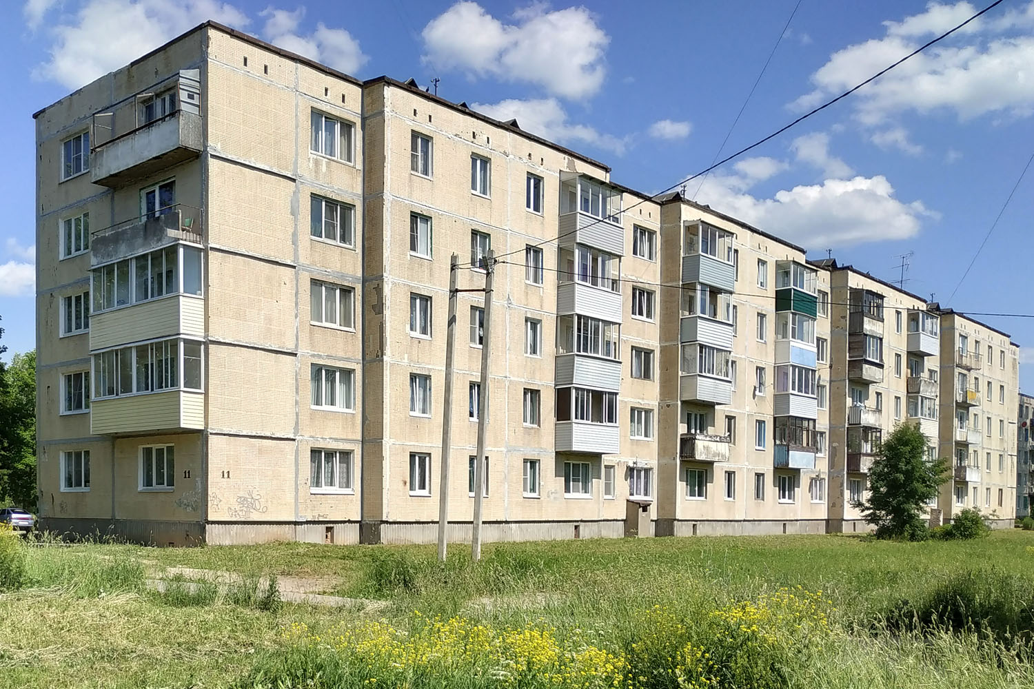 Волосовский район, прочие н. п., Бегуницы, 11