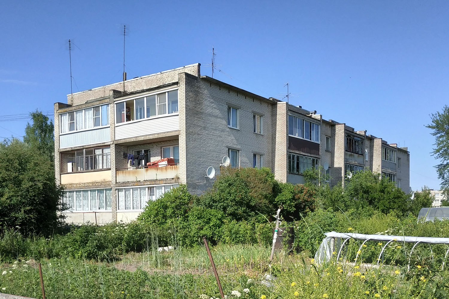 Elizavetino, Улица Леонида Басова, 10