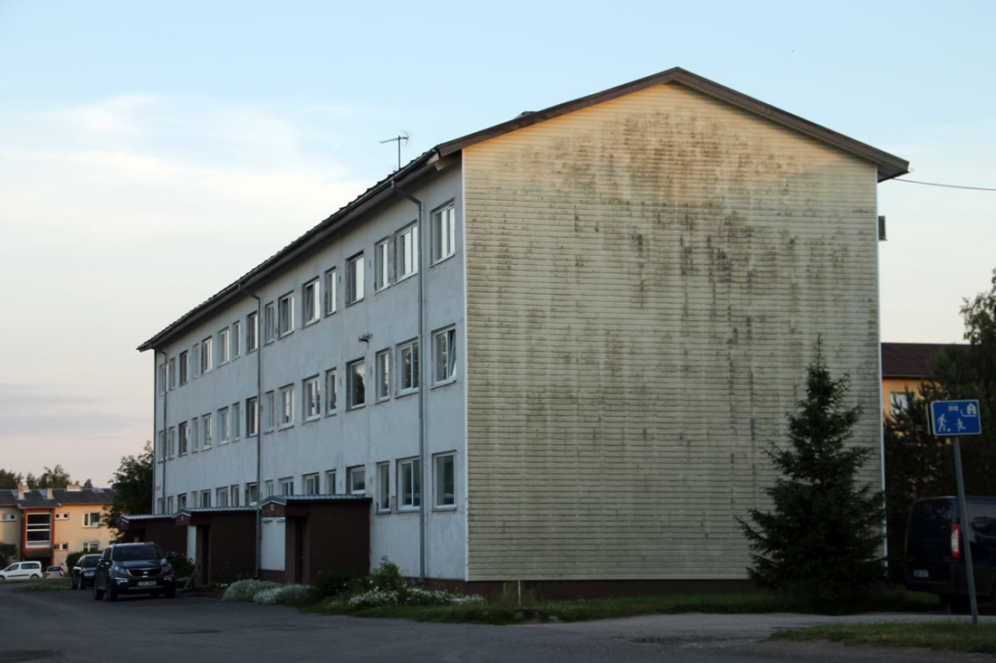 Sauga, Lepalinnu, 4