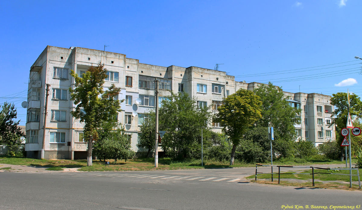 Великая Багачка, Европейская улица, 65