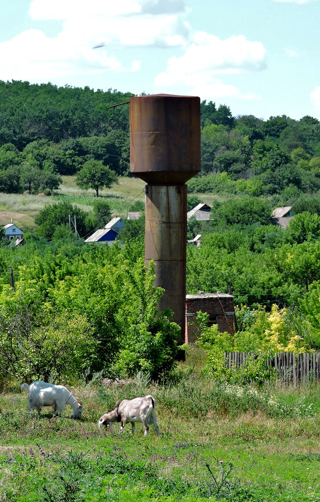 Kramators'k district. others settlements, с. Богородичное, Школьная улица, 1*