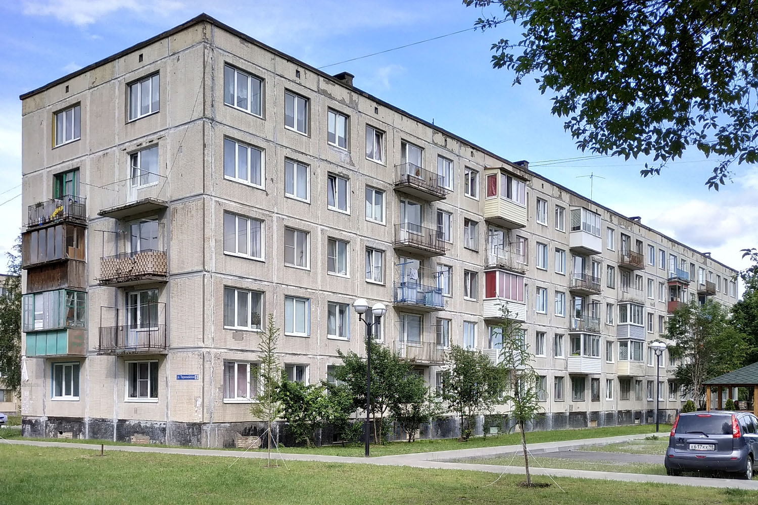 Ломоносовский район, прочие н. п., Лопухинка, Первомайская улица, 5