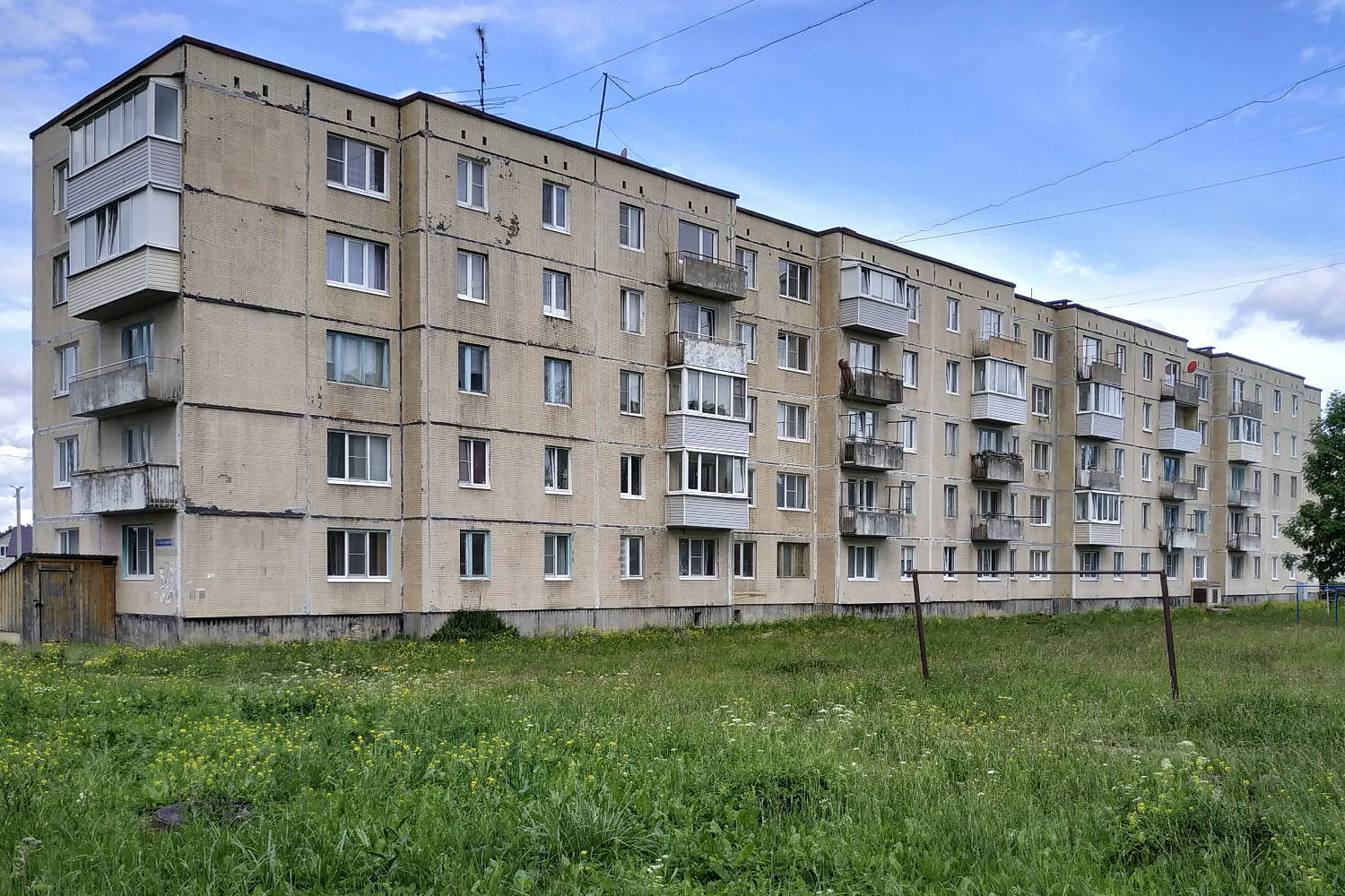 Ломоносовский район, прочие н. п., Лопухинка, Первомайская улица, 7