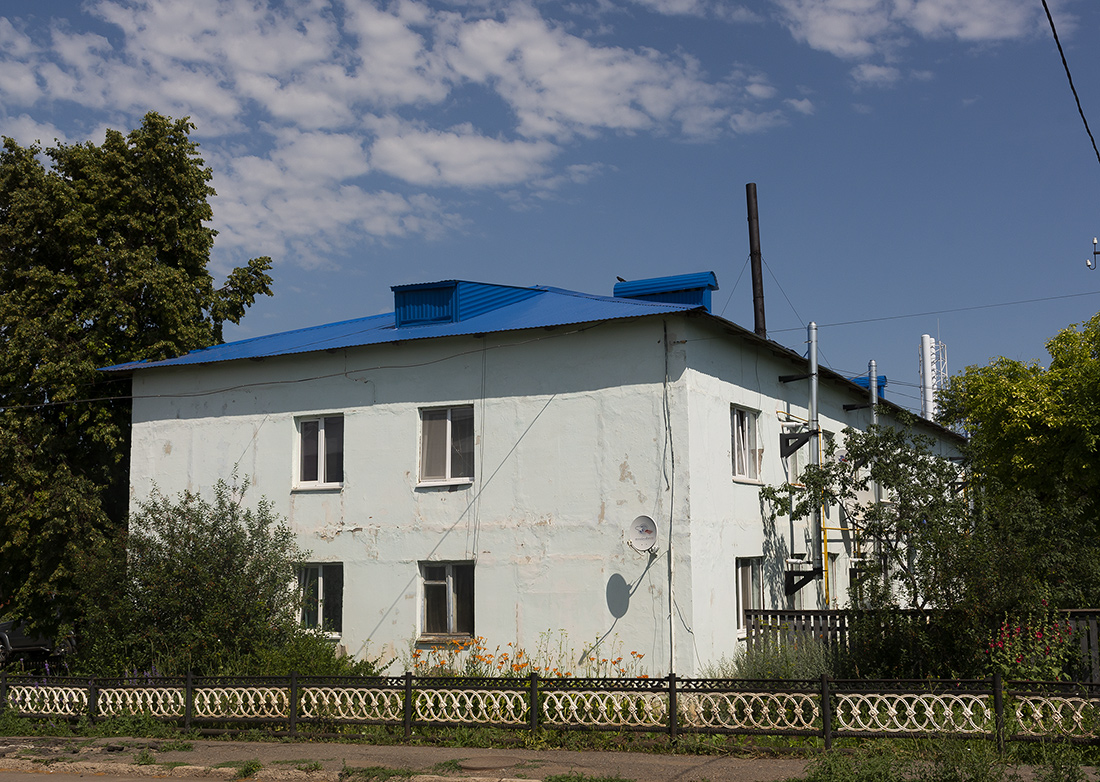 Благоварский район, прочие н.п., с. Языково, улица Мира, 23