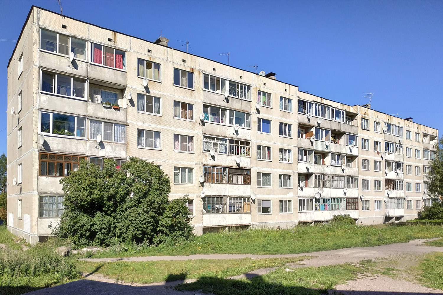 Выборгский район, прочие н. п., Возрождение, 6