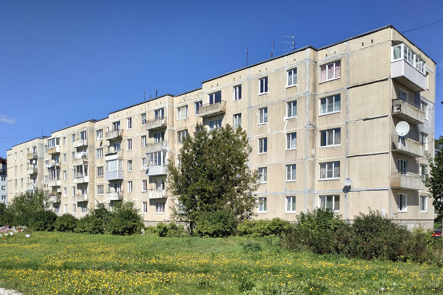 Каменногорск, Улица Бумажников, 26