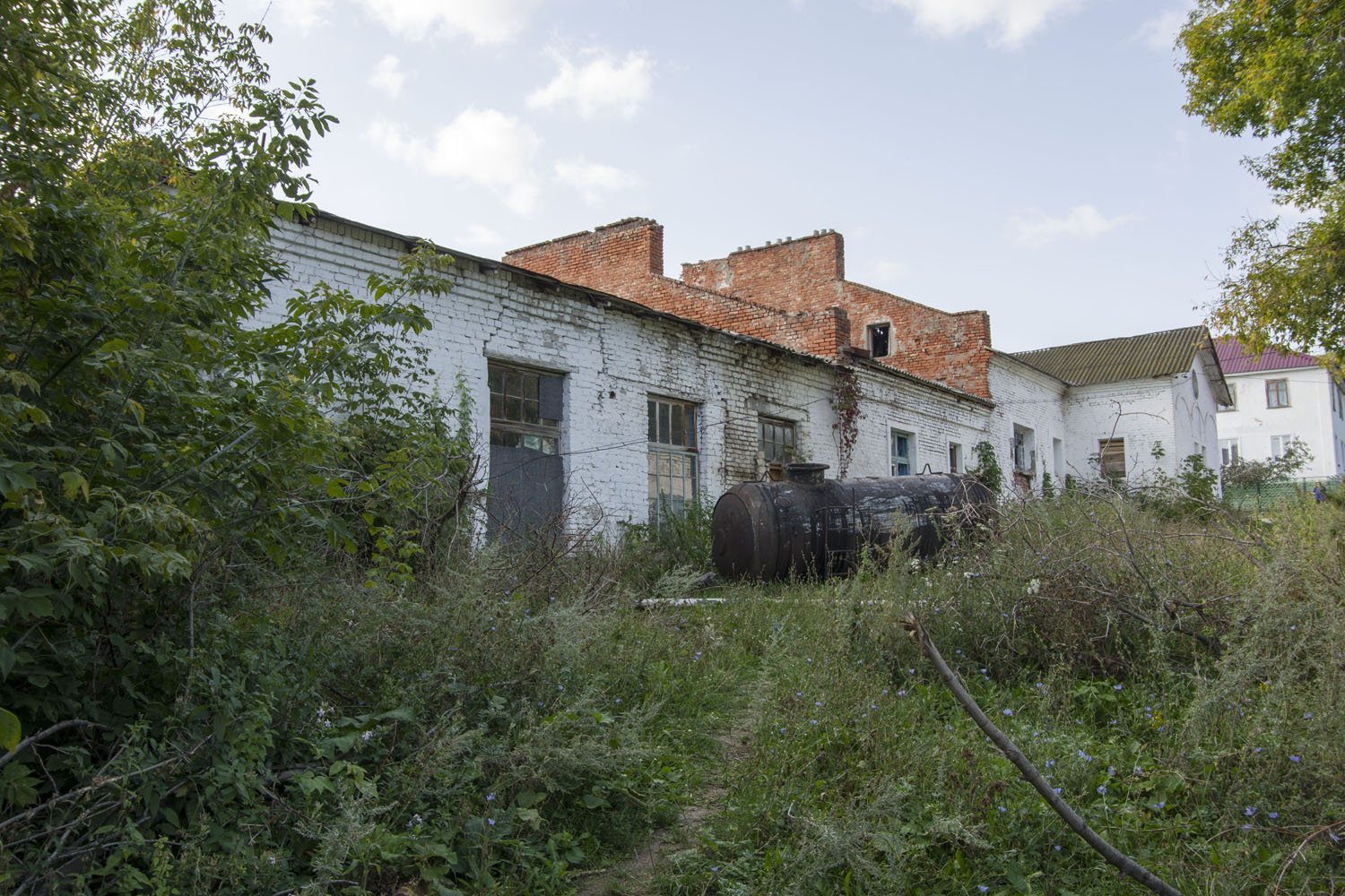 Zhigulyovsk, С. Солнечная Поляна, 4-я линия, 3