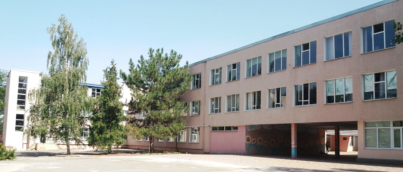 Васильевка, улица Шевченко, 82