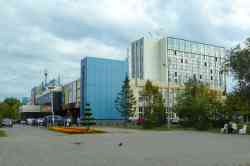 493 КБ