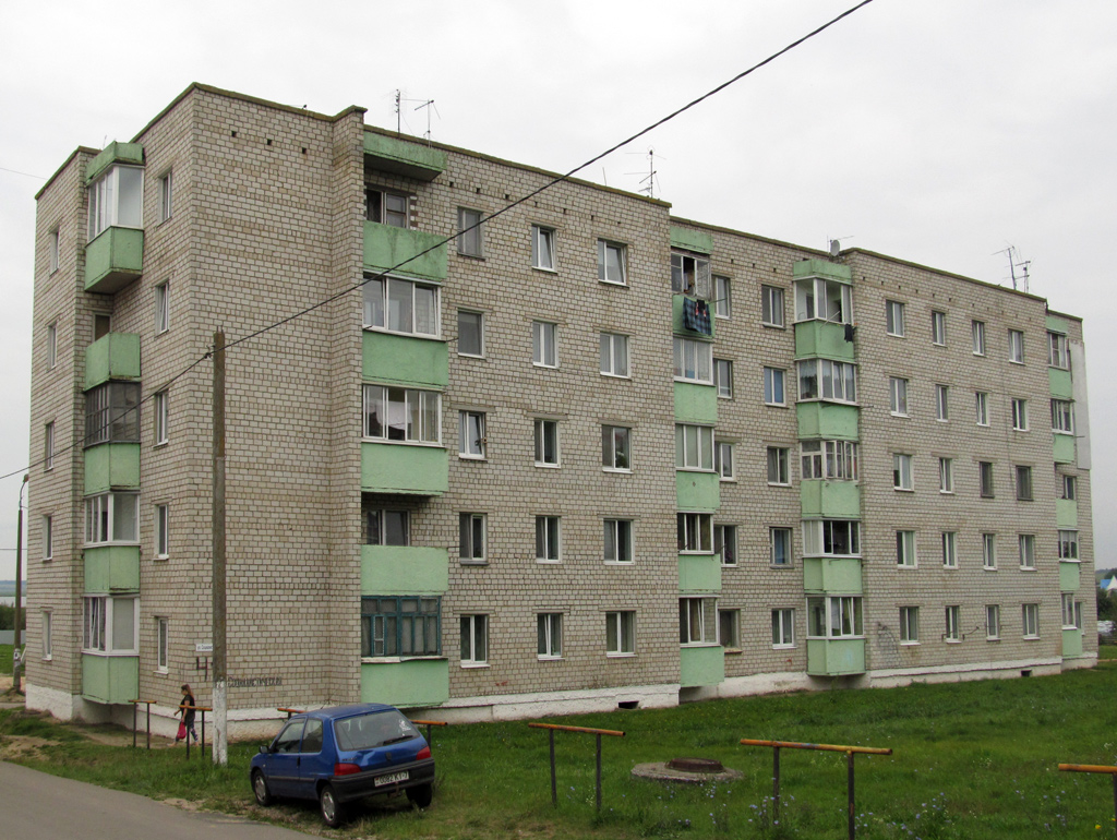 Смолевичи, Социалистическая улица, 41