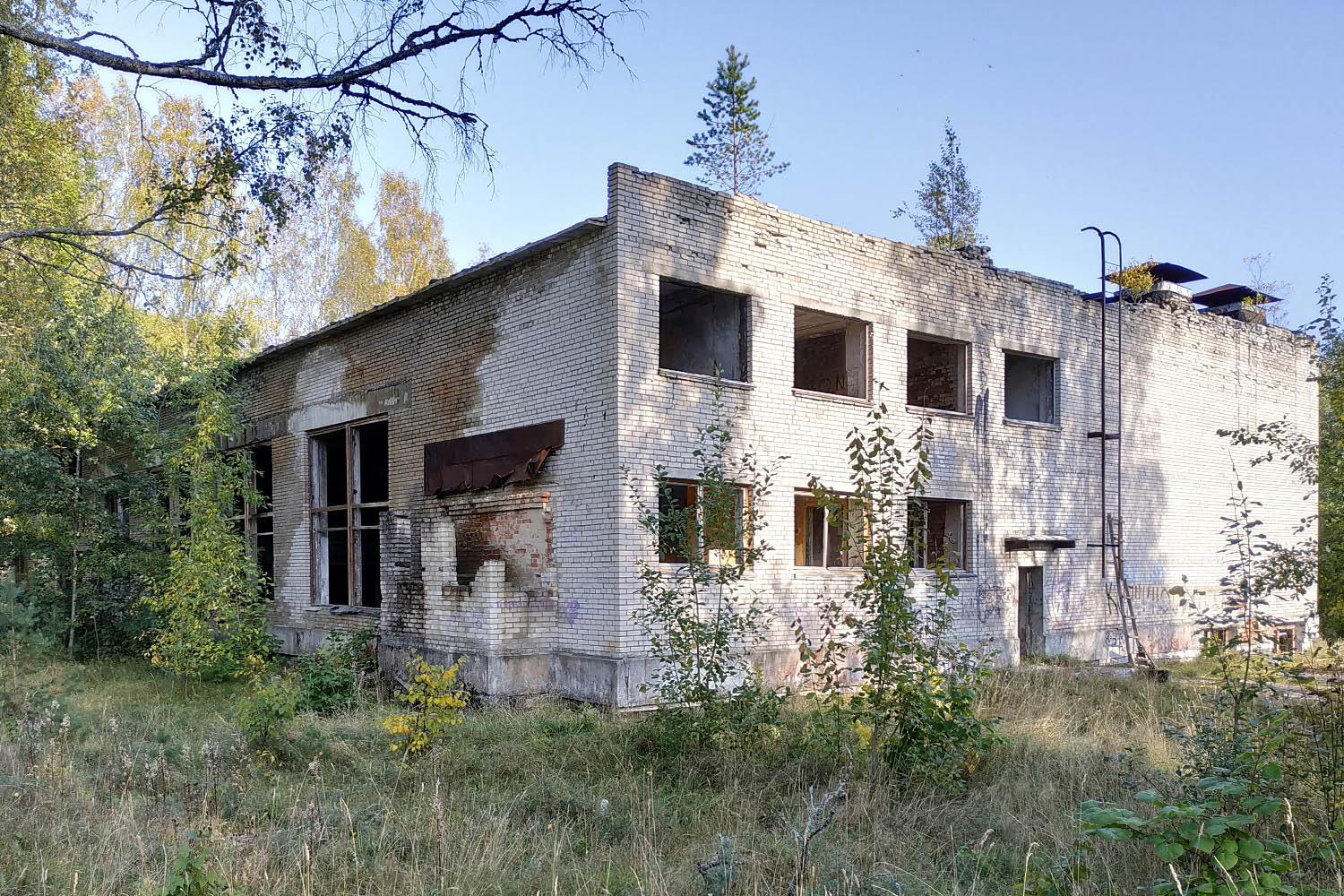 Vyborg District, other localities, Первомайское-1, ?