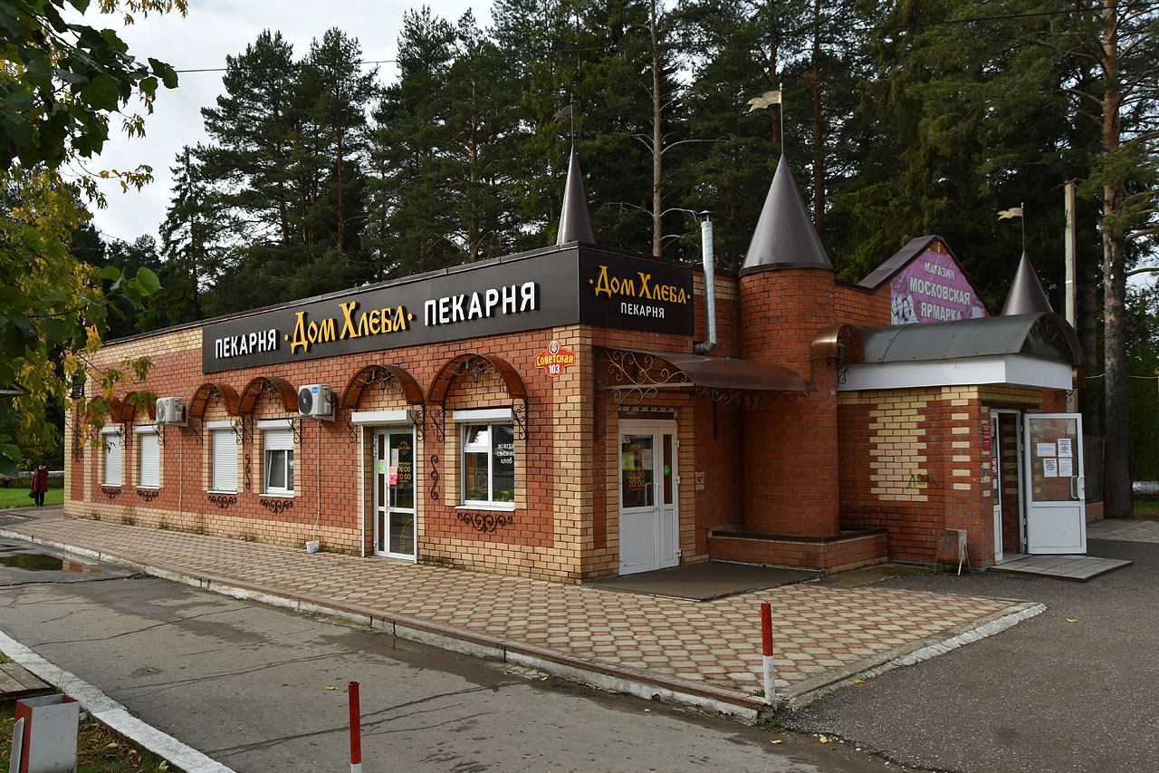 Добрянка, Советская улица, 103