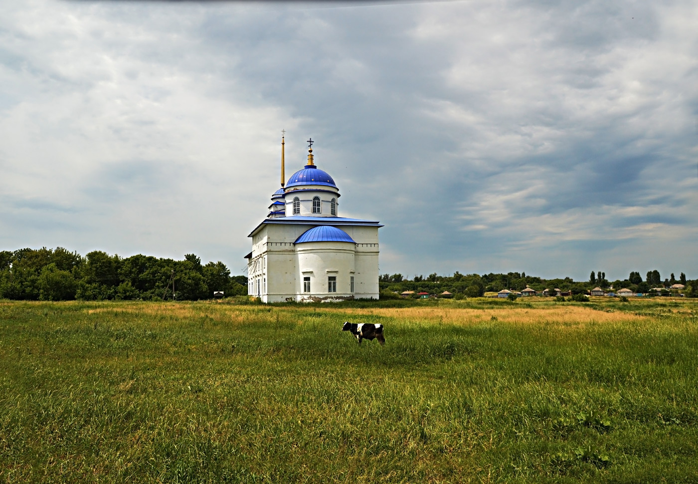 Бобровский район, прочие н.п., с. Сухая Берёзовка, Советская улица, ?