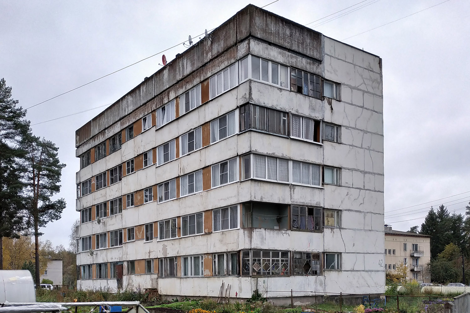 Выборгский район, прочие н. п., Цвелодубово, Центральная улица, 42