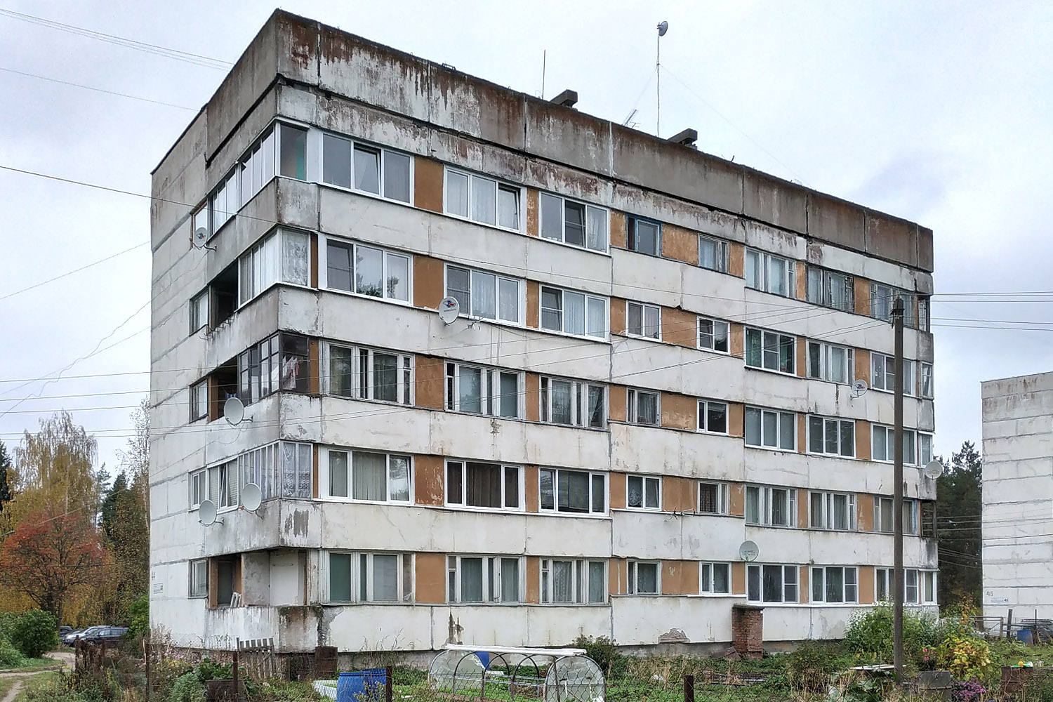 Выборгский район, прочие н. п., Цвелодубово, Центральная улица, 44