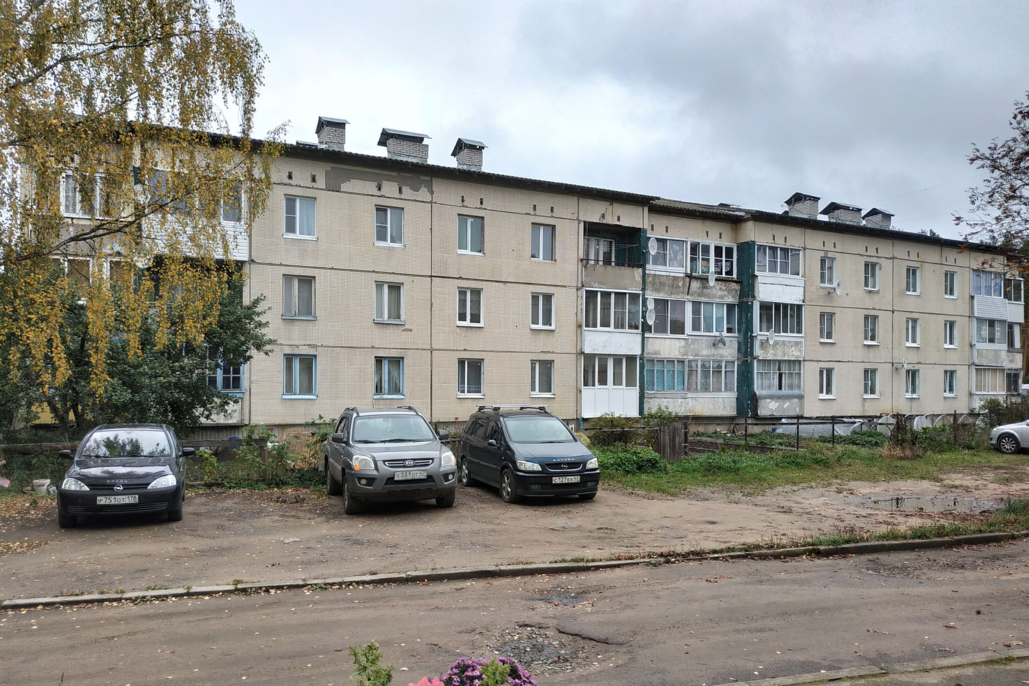 Выборгский район, прочие н. п., Цвелодубово, Центральная улица, 38