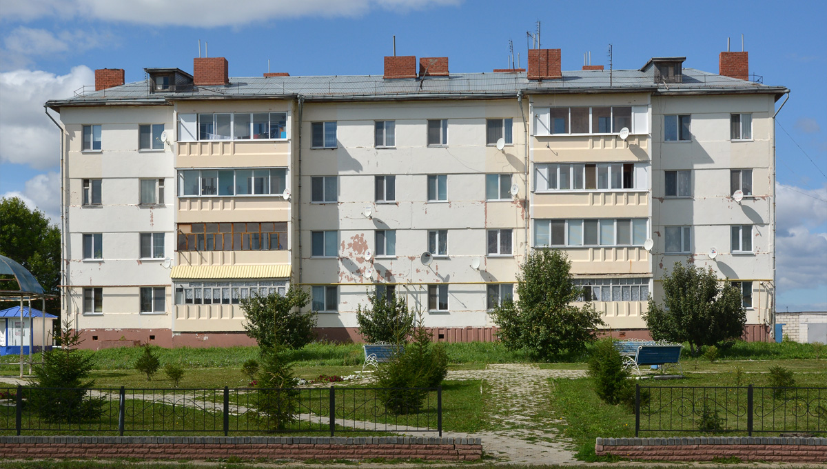 Мензелинск, Улица Мусы Джалиля, 26