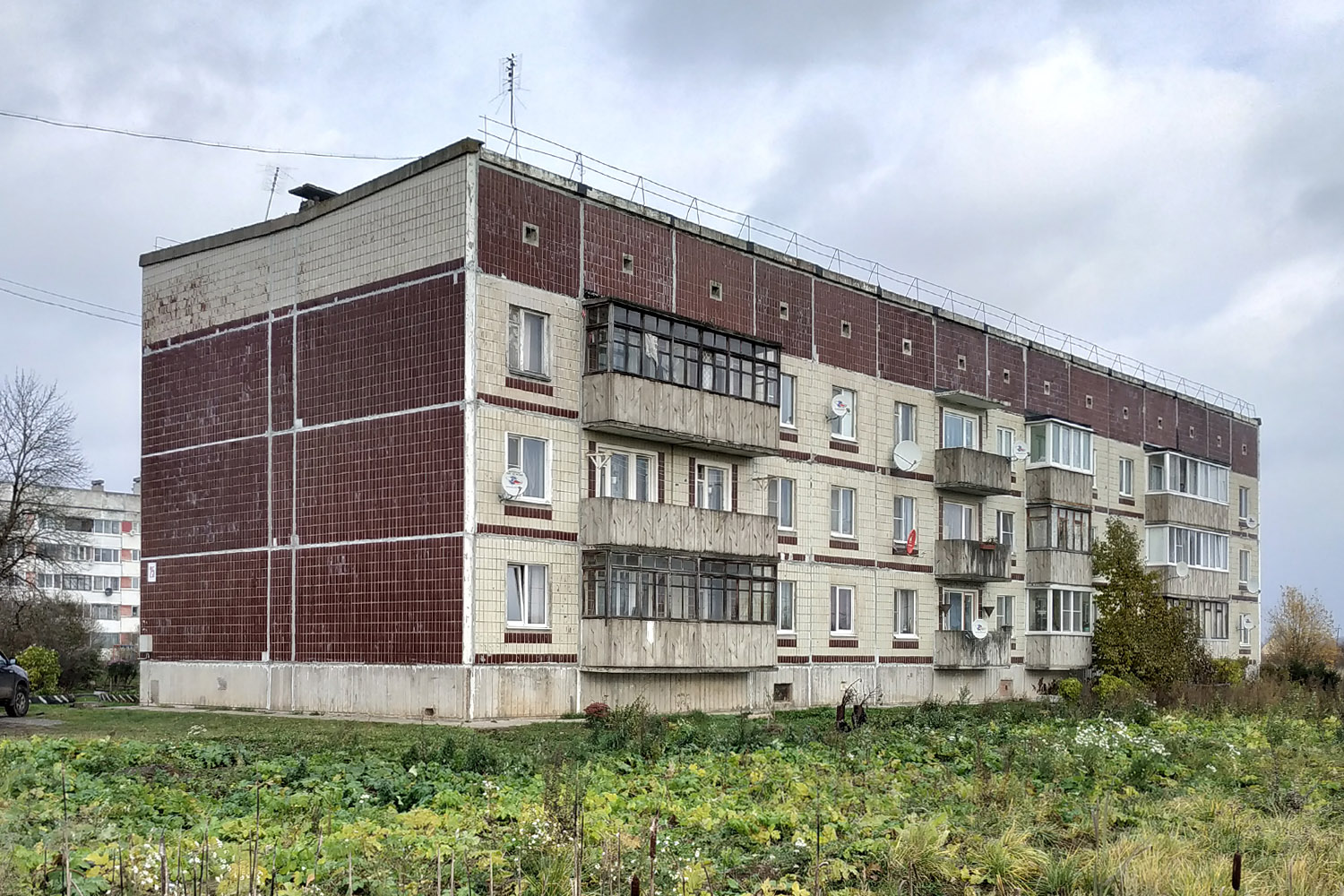 Тосненский район, прочие н. п., Тарасово, 25