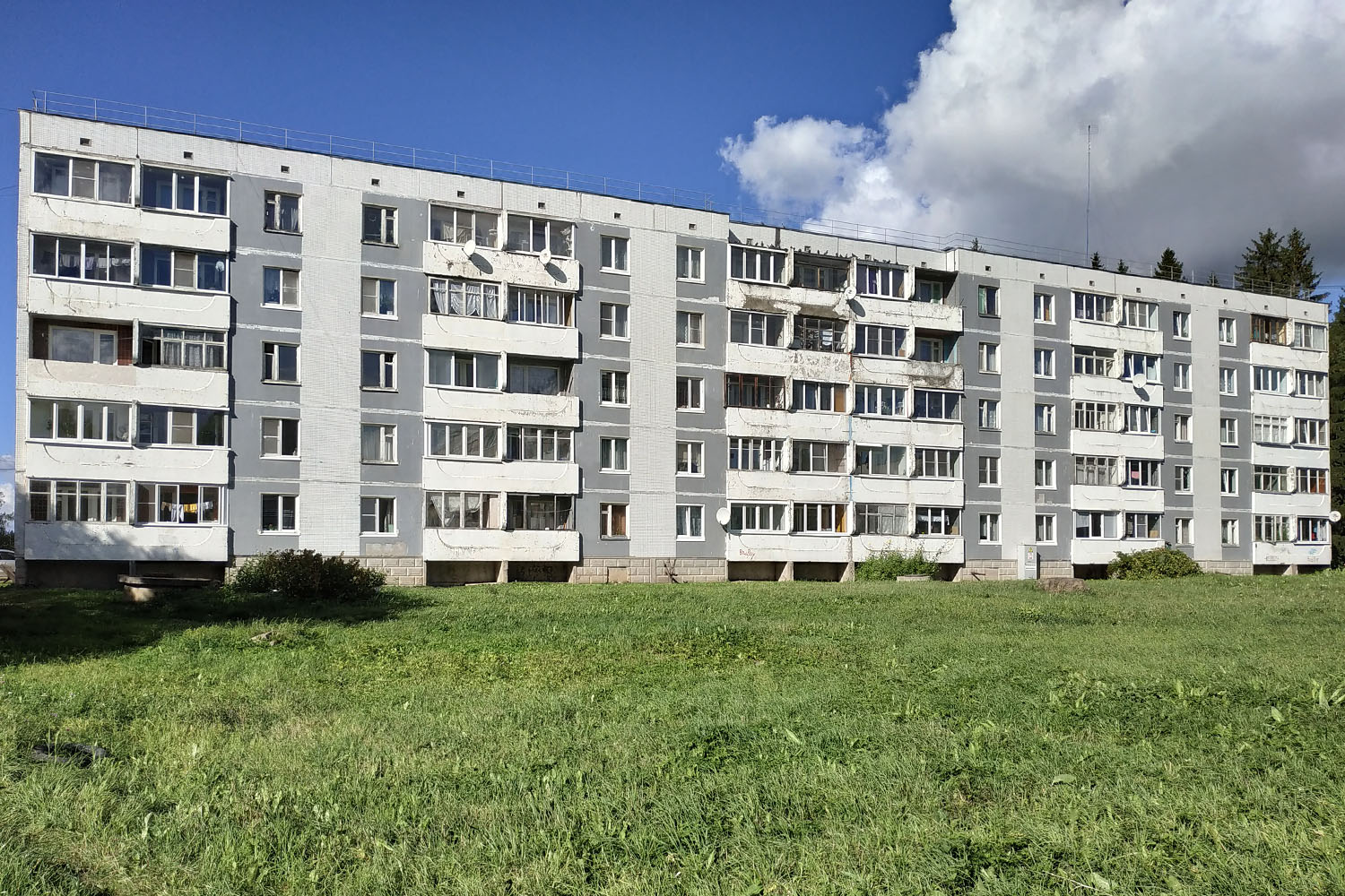 Волосово, Лесная улица, 12