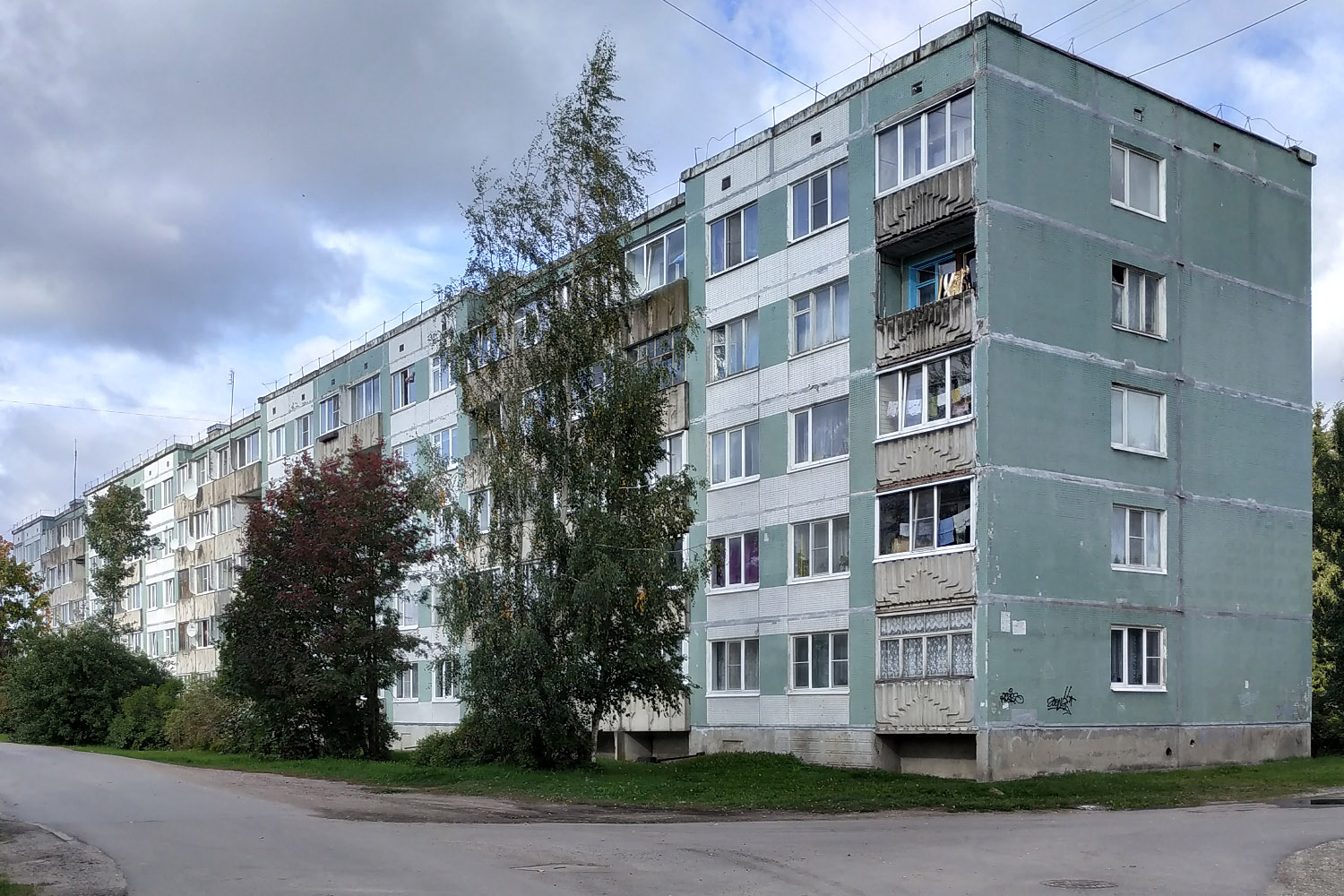 Волосово, Зелёная улица, 14