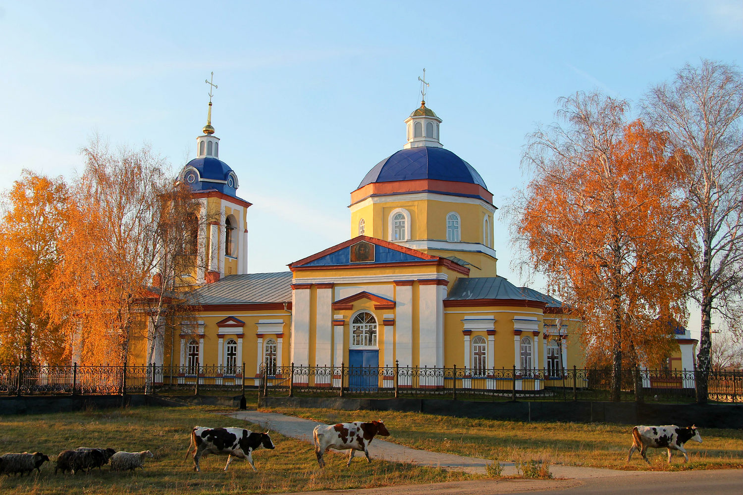 Грязинский район, прочие н.п., с. Княжая Байгора, Советская улица, 1