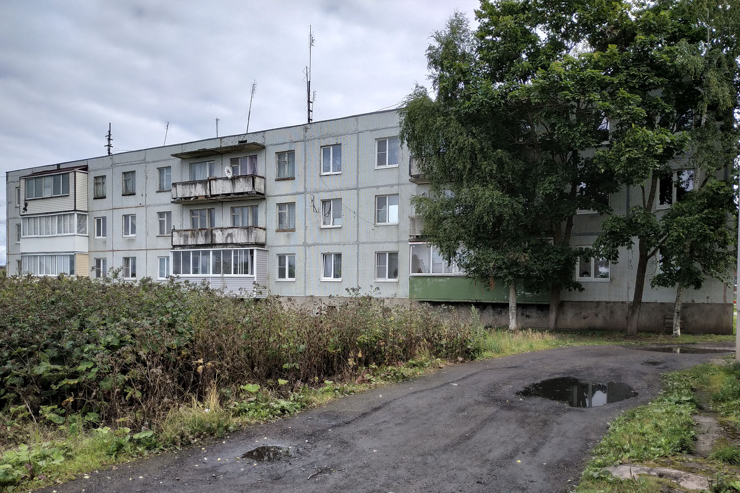 Лужский район, прочие н. п., Почап, Солнечная улица, 19