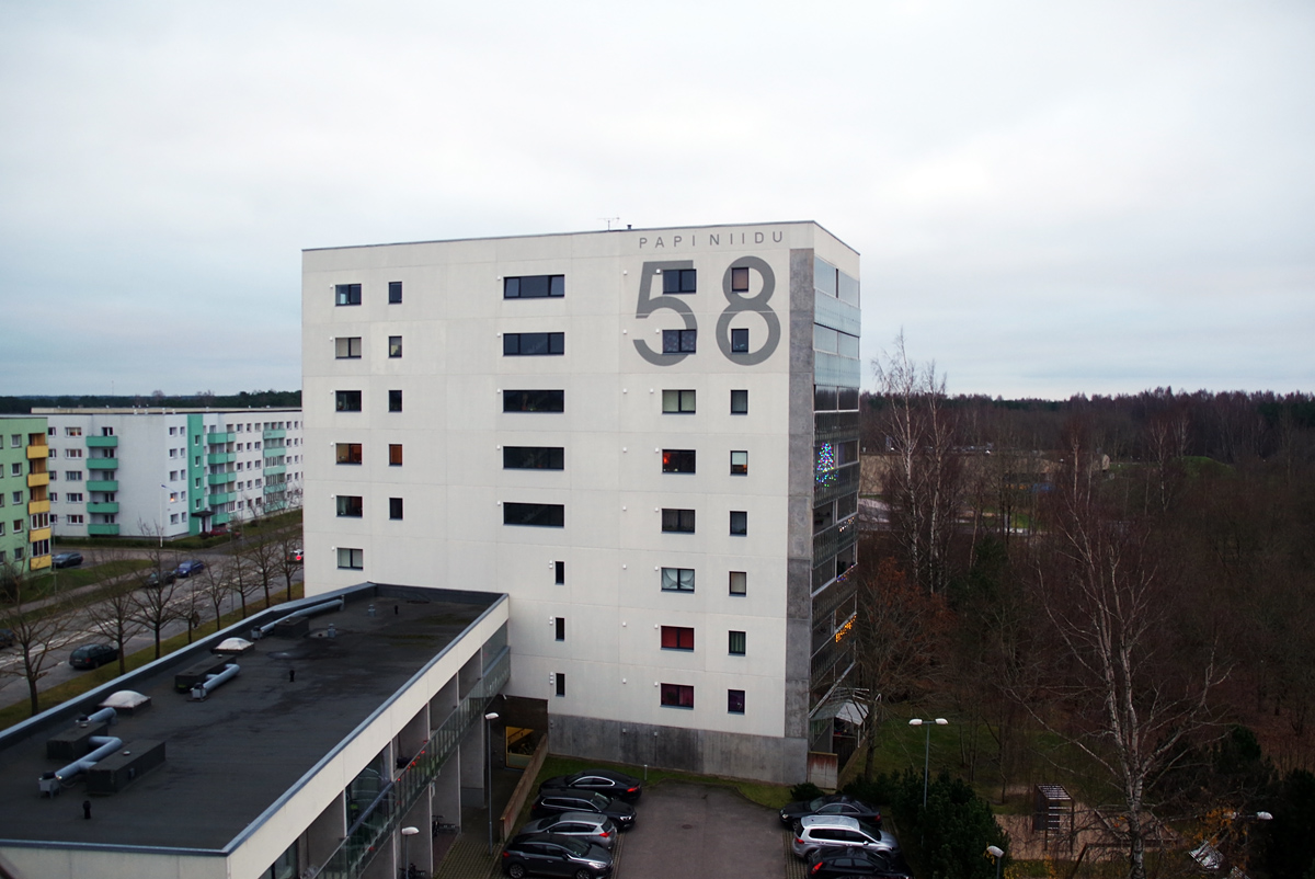 Pärnu, Papiniidu, 58