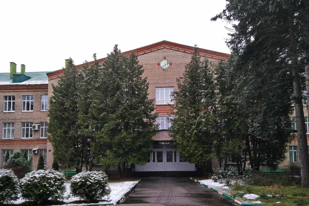 Пушкино, Институтская улица, 15