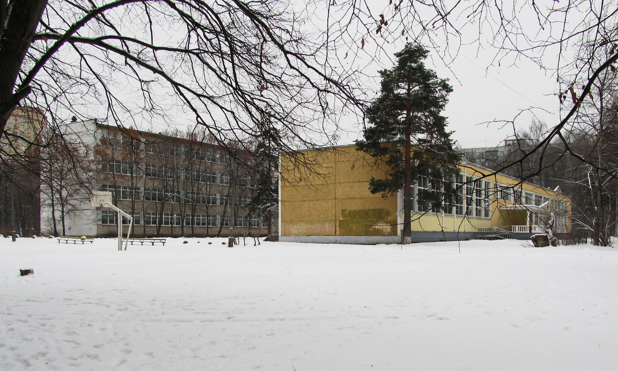 Пушкино, Микрорайон Дзержинец, 10А
