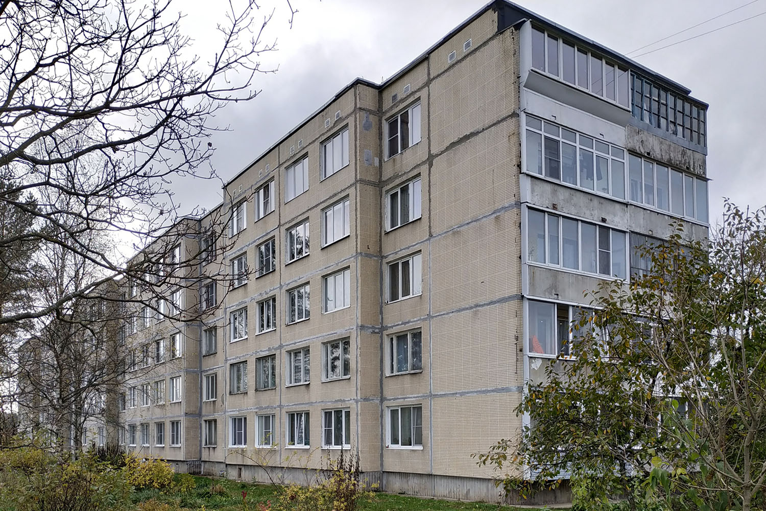 Tosno District, other localities, Ушаки, 7