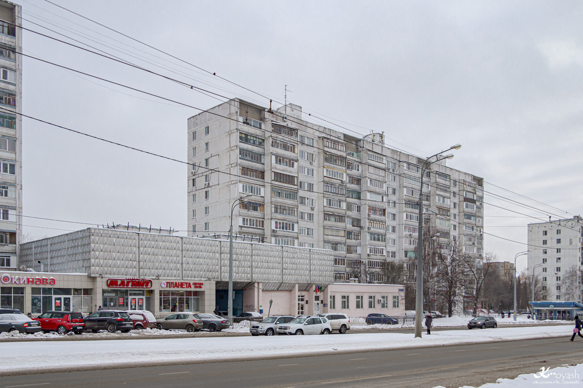 Казань, Улица Копылова, 12